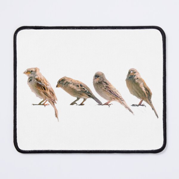 Item preview, Nature's Symphony: Four sparrows designed and sold by Fotofus.