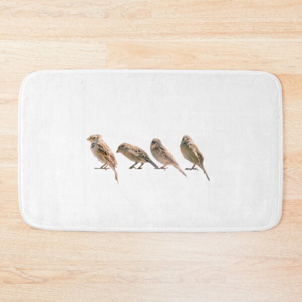 Item preview, Nature's Symphony: Four sparrows designed and sold by Fotofus.