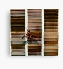Venting Canvas Print