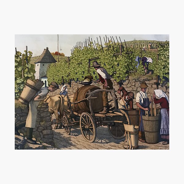 Item preview, Harvesting Grapes designed and sold by Artemis-.