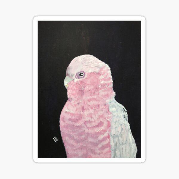 Galah Cockatoo Sticker