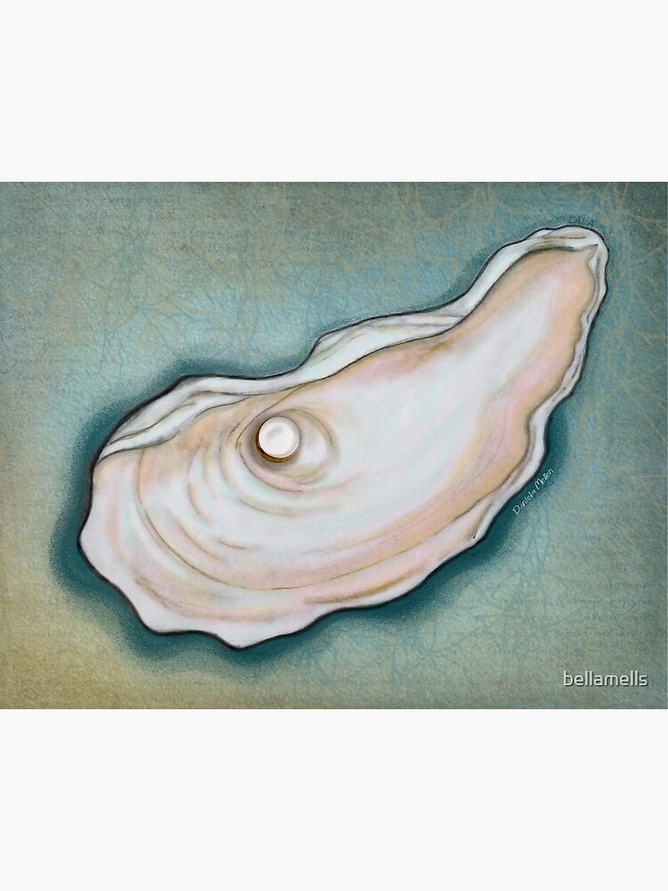 Real Half Clam Shell 12X10 Inches Seashell Ocean Genuine