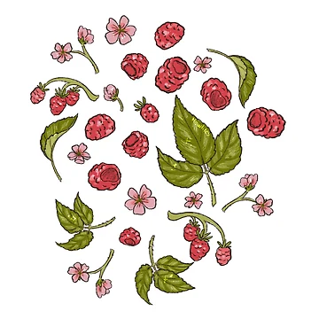 Artwork thumbnail, Raspberry repeating pattern by Howlites