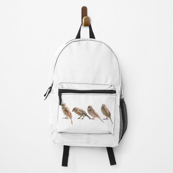 Item preview, Nature's Symphony: Four sparrows designed and sold by Fotofus.