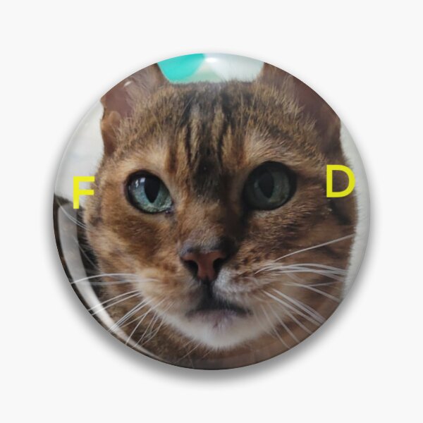 Item preview, Cat With FOOD Eyes. designed and sold by Scarlett Miller.