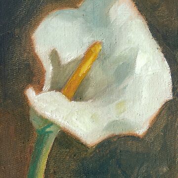 Artwork thumbnail, Arum Lilly by TheDaysIdeas