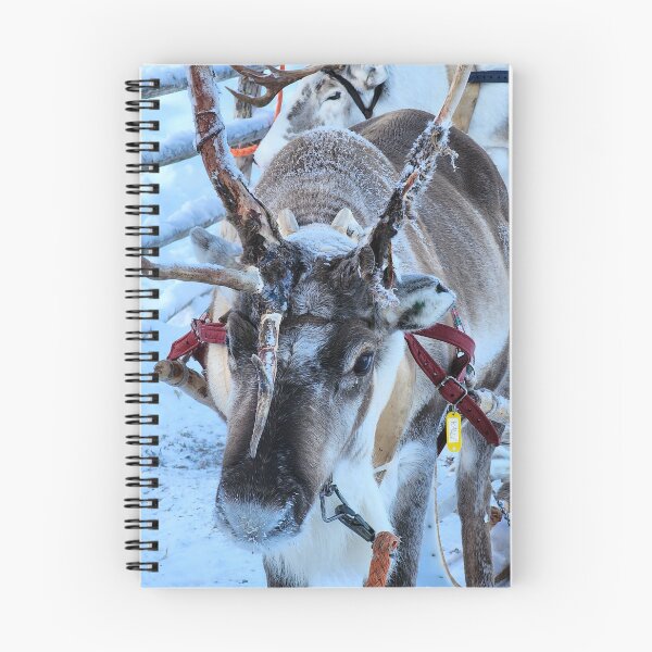 Item preview, Lapland designed and sold by Zoe Baruch.