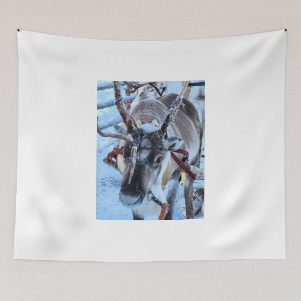 Item preview, Lapland designed and sold by Zoe Baruch.
