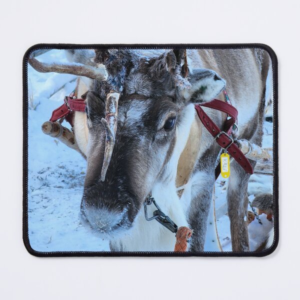 Item preview, Lapland designed and sold by Zoe Baruch.