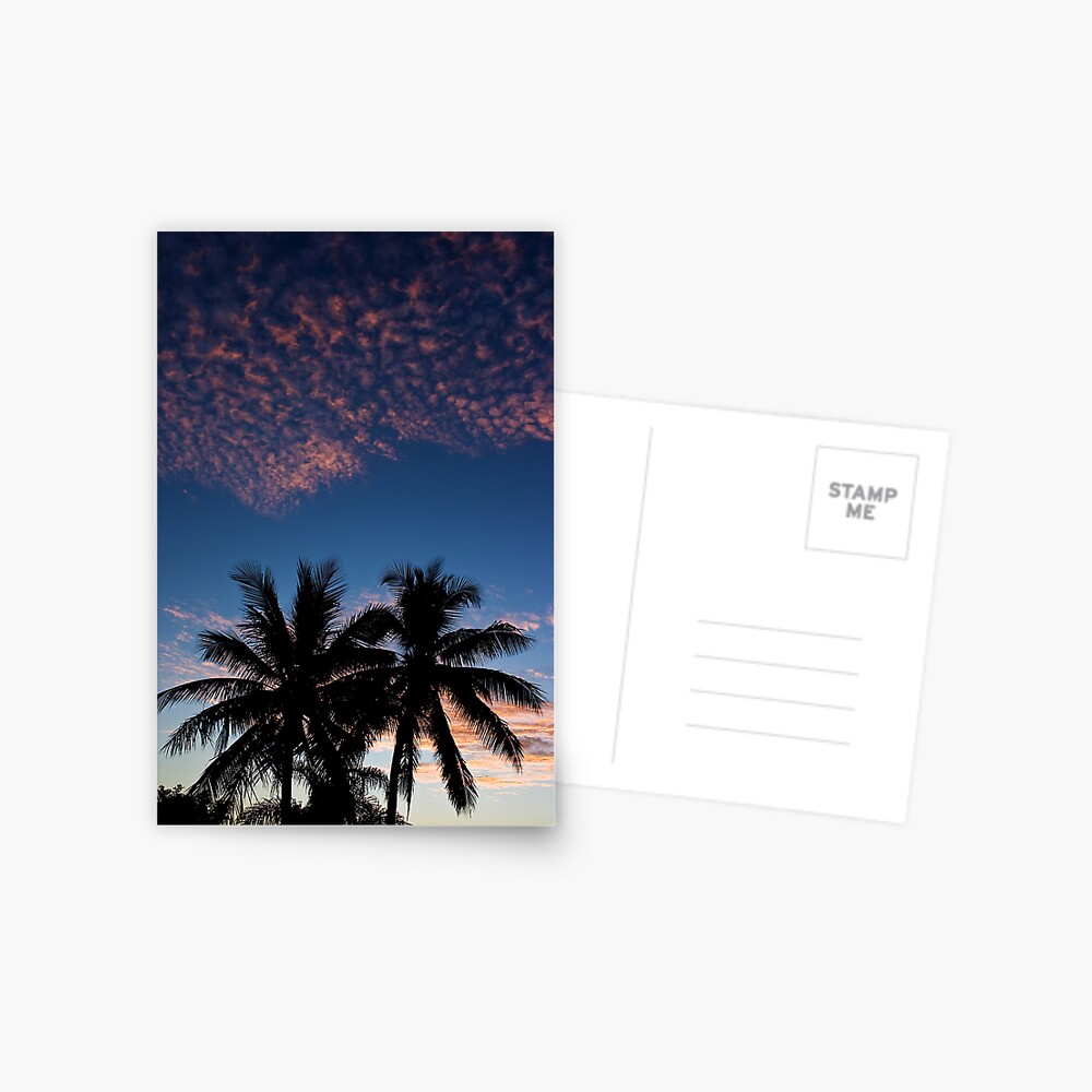 Tropical Sunset Postcard