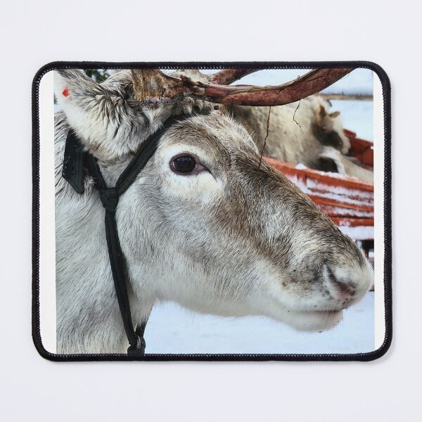 Item preview, Lapland designed and sold by Zoe Baruch.