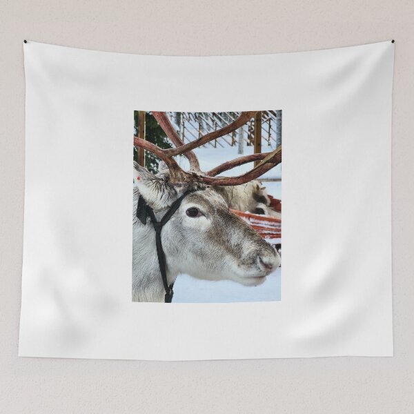 Item preview, Lapland designed and sold by Zoe Baruch.