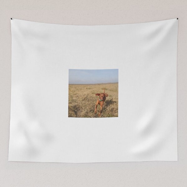 Item preview, Field Day designed and sold by Wigglebutt.