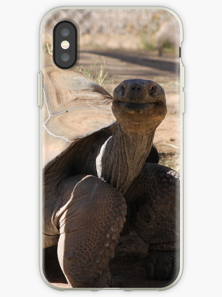 iphone 6 plus hülle schildkröte iphone 6 plus hülle schildkröte
