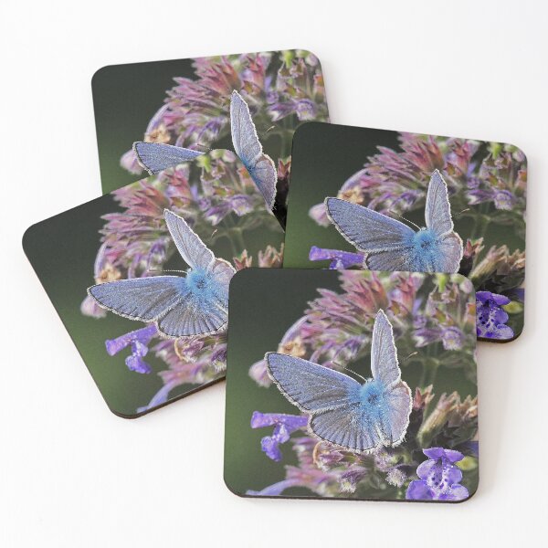 Item preview, vr 3248 / finition 2023 - 3   Papillon   Okaio Créations  Olavia-Olao designed and sold by o.okaïo.