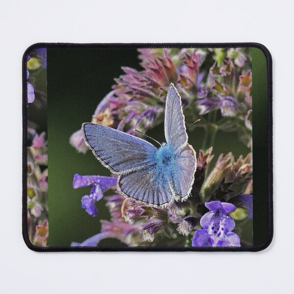 Item preview, vr 3248 / finition 2023 - 3   Papillon   Okaio Créations  Olavia-Olao designed and sold by o.okaïo.