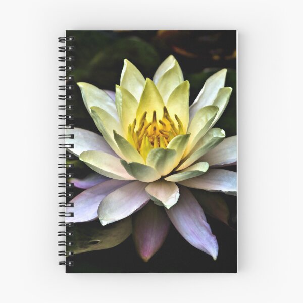 Item preview, Golden Lotus designed and sold by Sandra Moore.