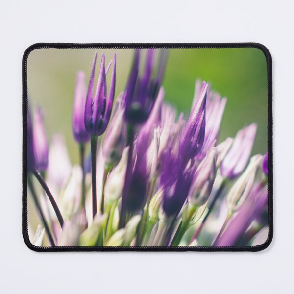 Item preview, Allium Close Up Photo designed and sold by SofiaAlves.