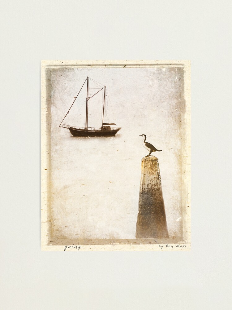 Alternate view of g o i n g Photographic Print