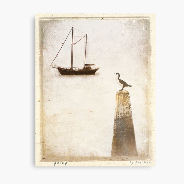 g o i n g Metal Print