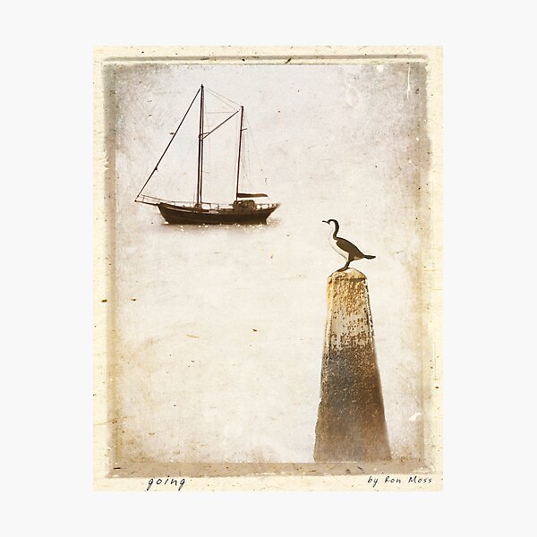 g o i n g Photographic Print