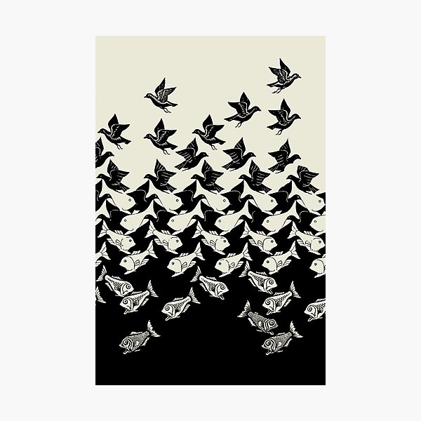 Fish and Birds Art Deco Tessellation Photographic Print