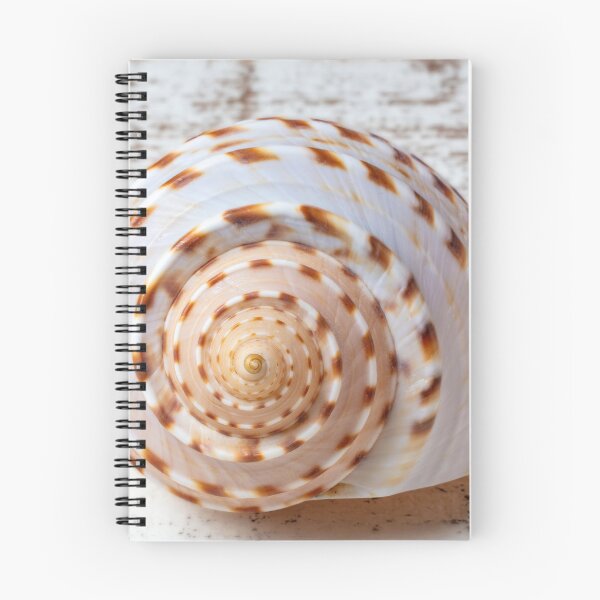 Item preview, Natures Shell Design designed and sold by Garry Gay.