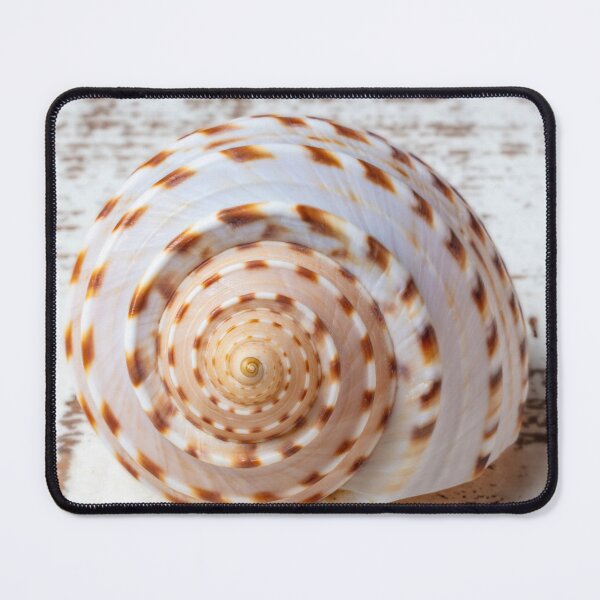 Item preview, Natures Shell Design designed and sold by Garry Gay.