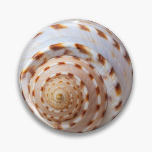 Item preview, Natures Shell Design designed and sold by Garry Gay.