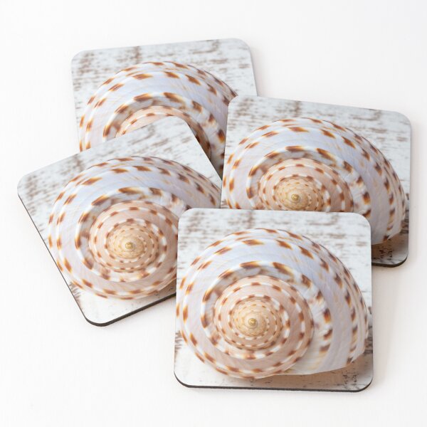 Item preview, Natures Shell Design designed and sold by Garry Gay.