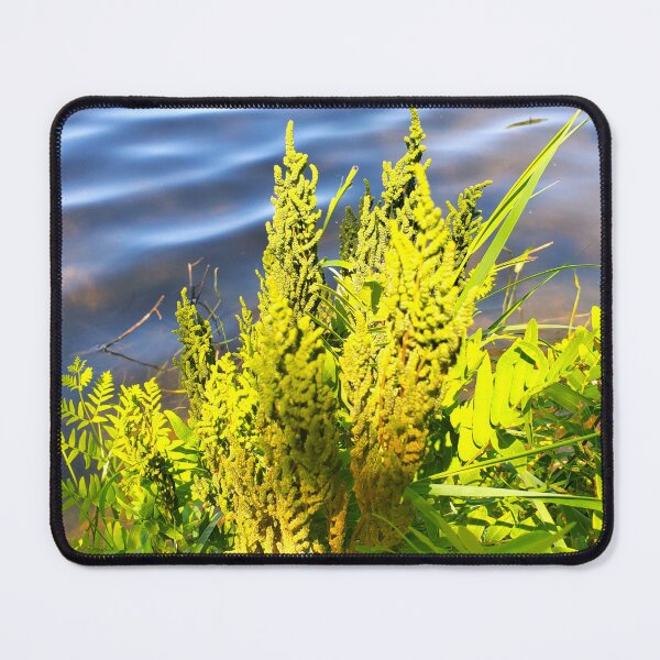 Item preview, Royal Fern designed and sold by etherealwonders.