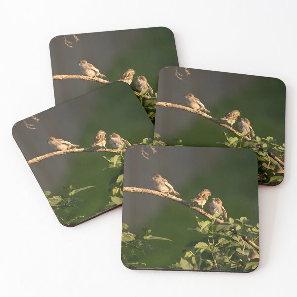 Item preview, Three sparrows perching on a branch designed and sold by KRFNatureGifts.