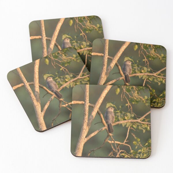 Item preview, Gray catbird in a tree designed and sold by KRFNatureGifts.
