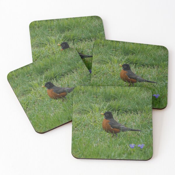 Item preview, Little Robin designed and sold by TheeForestFox Shop.