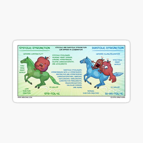 Item preview, Systolic vs. Diastolic Heart Failure designed and sold by MedComic.