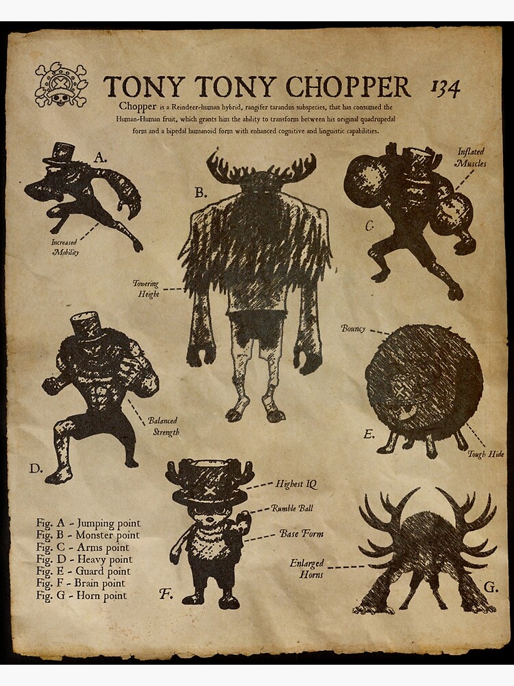 TonyTony Chopper / Tony Tony Chopper Monster Point sheet, Character design,  Official reference, Set…