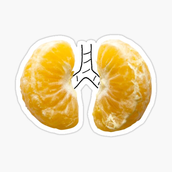 Item preview, Lungs of tangerine designed and sold by cintascotch.