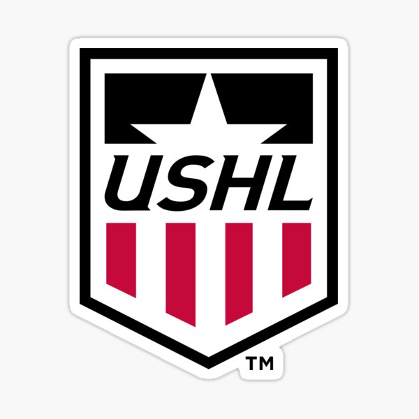 Usa Hockey Logo Sticker By Sarahhovo Redbubble