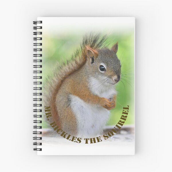 Item preview, Mr. Bickles The Squirrel - new! designed and sold by PrueCr.