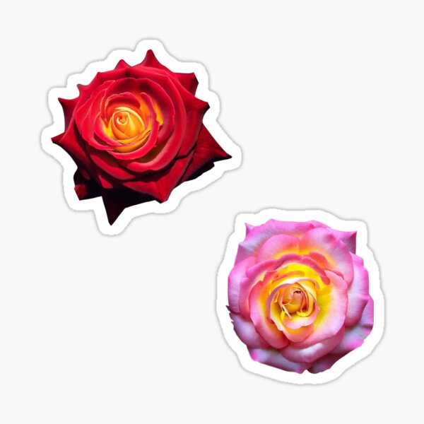 stickers of a red and a pink rose, sticker pack,rose,Flower stickers for  children and adults Sticker for Sale by CirJan