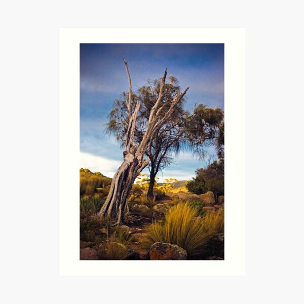Bent Art Print