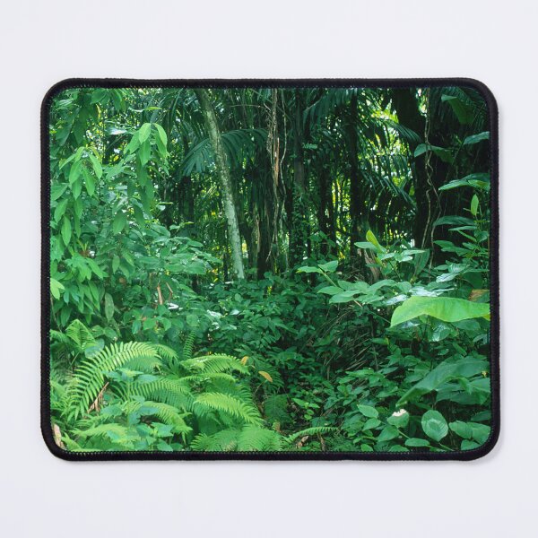 Item preview, Rainforest Jungle In Micronesia's Palau South Pacific Islands  designed and sold by DEC02.