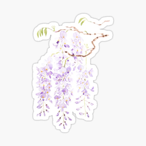 Item preview, wisteria in bloom 2023 hand painted  designed and sold by ColorandColor.