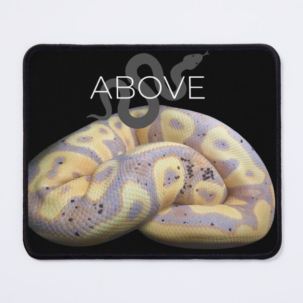 Item preview, Banana Boy Extraordinaire designed and sold by ABOVE-Reptiles.
