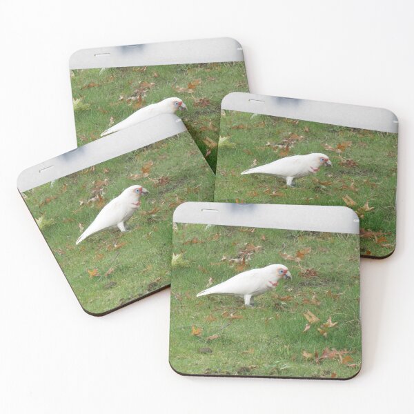 Item preview, A hungry long-billed corella designed and sold by greentiger1.