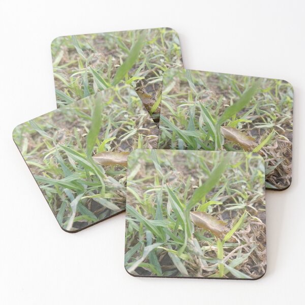 Item preview, Grass designed and sold by Booterboy.