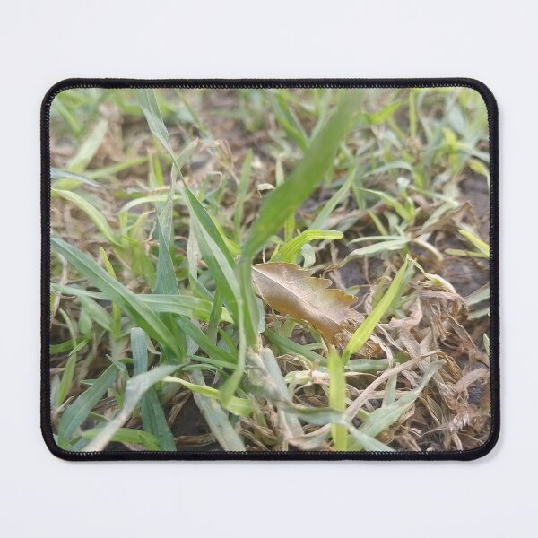 Item preview, Grass designed and sold by Booterboy.
