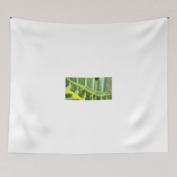 Item preview, Emerald Tree Skink designed and sold by Captures Of Creation.