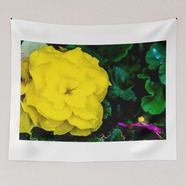 Item preview, Begonia Yellow designed and sold by barkeypf.