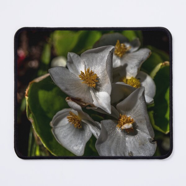 Item preview, Decorative Flowers designed and sold by barkeypf.